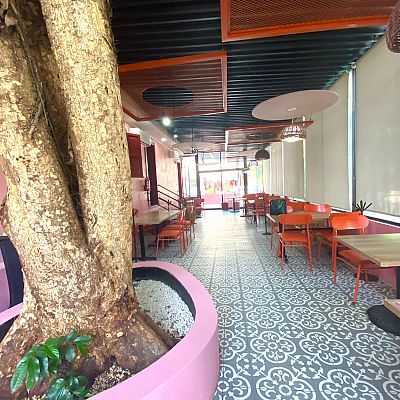 Puerto Morelos, mQR